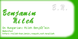 benjamin mileh business card